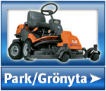 Grönyta